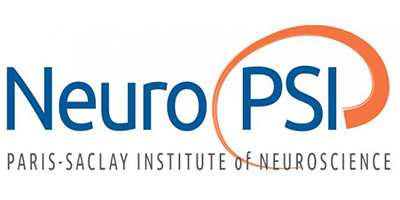 Neurosciences Paris Saclay institute Logo Neurosciences Paris Saclay institute Logo